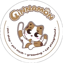 erasebg-transformed-2